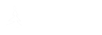 Grupo Pinapark.png
